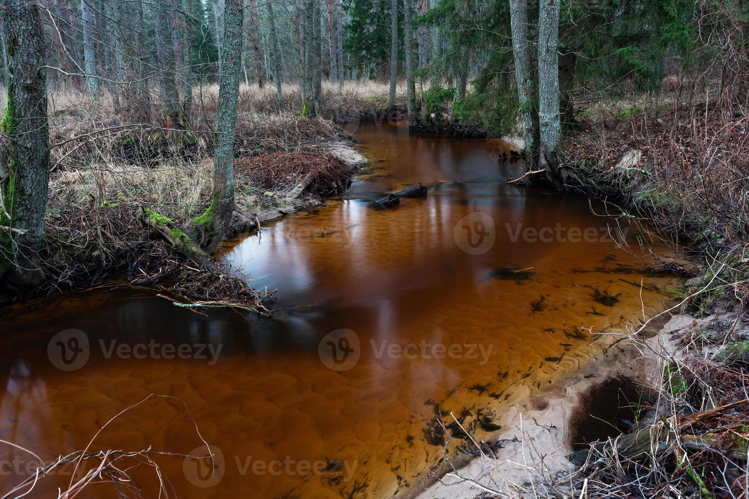 piccolo foresta fiume foto