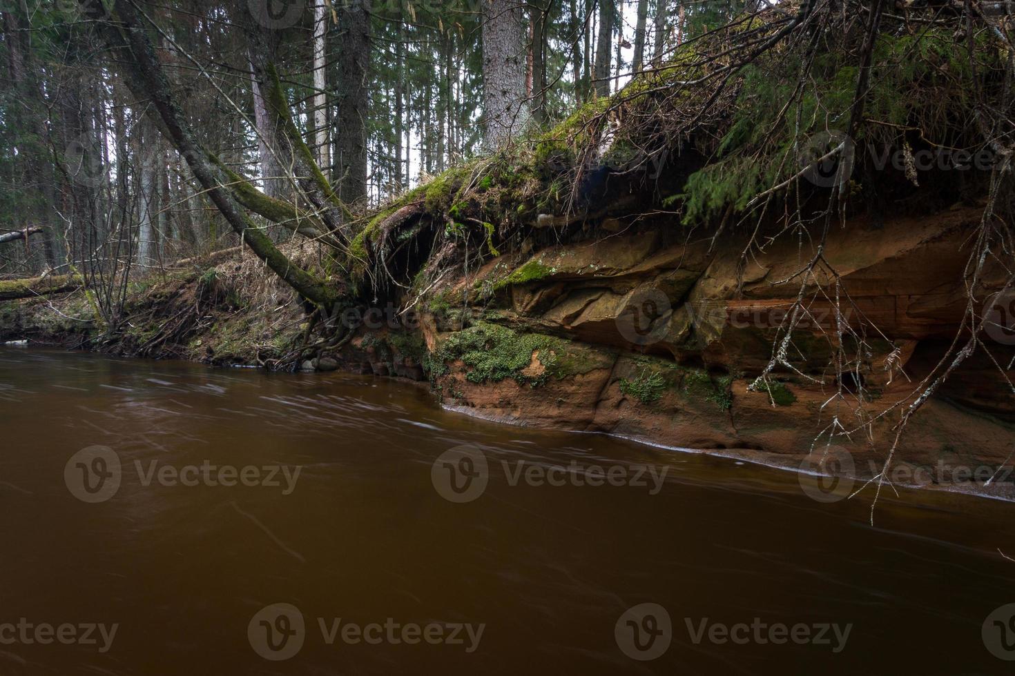 piccolo foresta fiume nel presto primavera foto