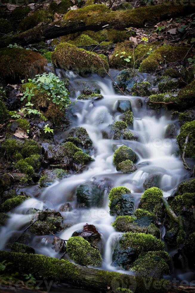 piccolo foresta fiume nel presto primavera foto