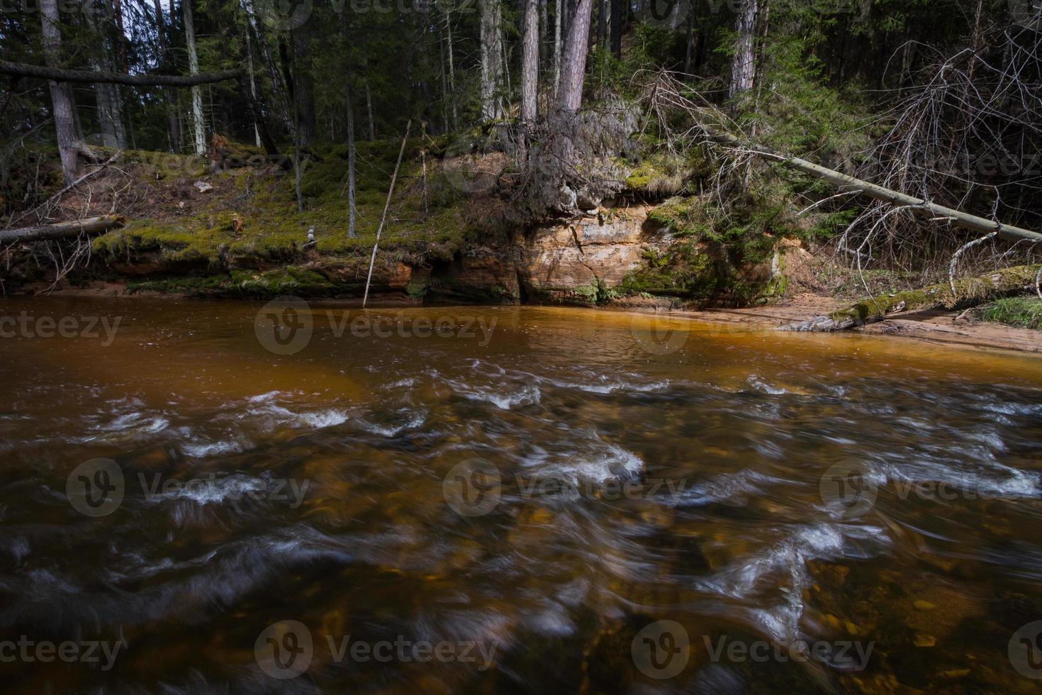 piccolo foresta fiume nel presto primavera foto