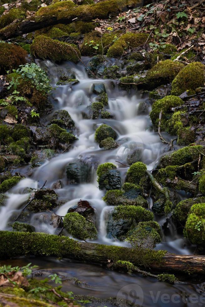 piccolo foresta fiume nel presto primavera foto