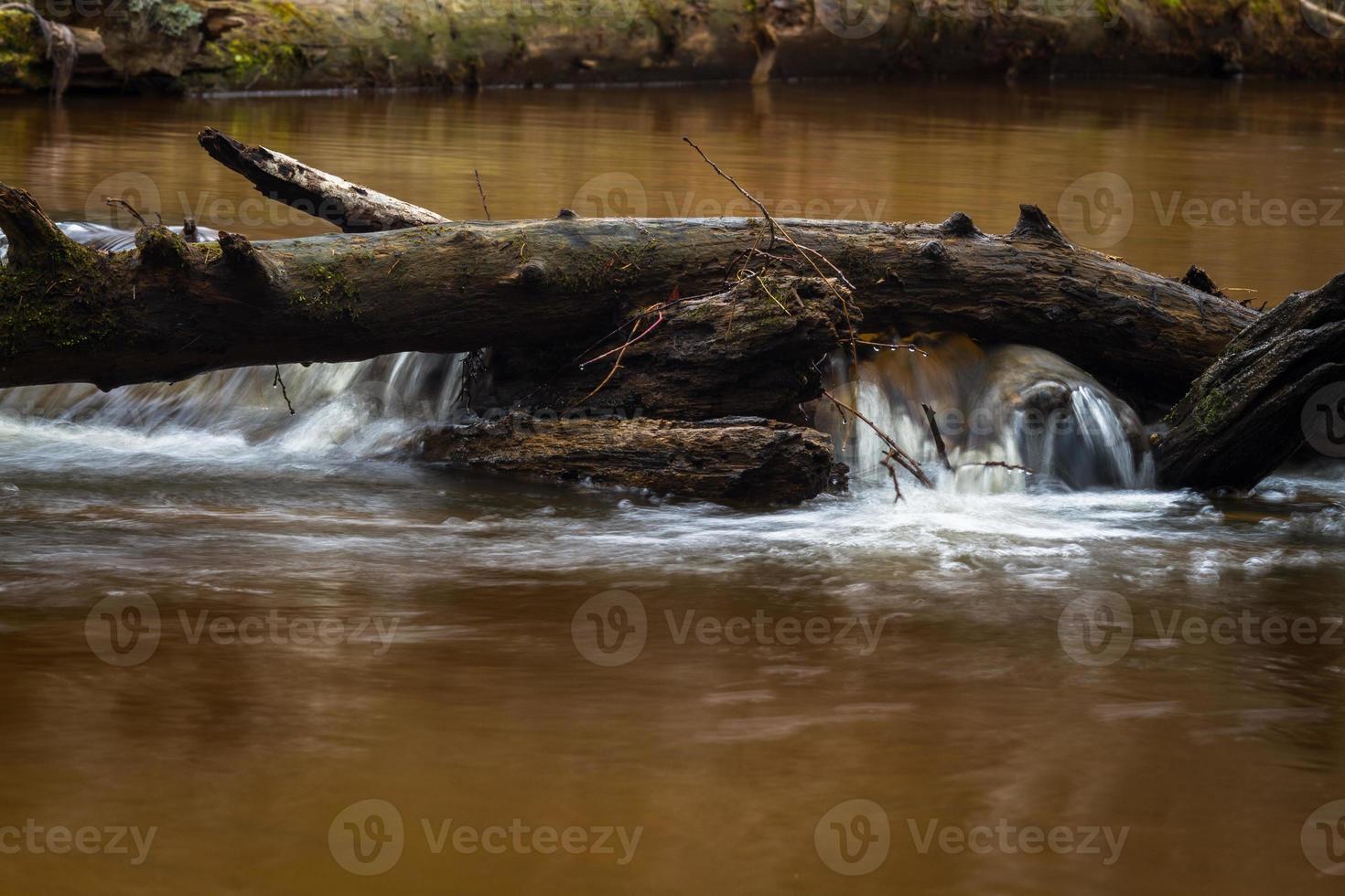 piccolo foresta fiume nel presto primavera foto