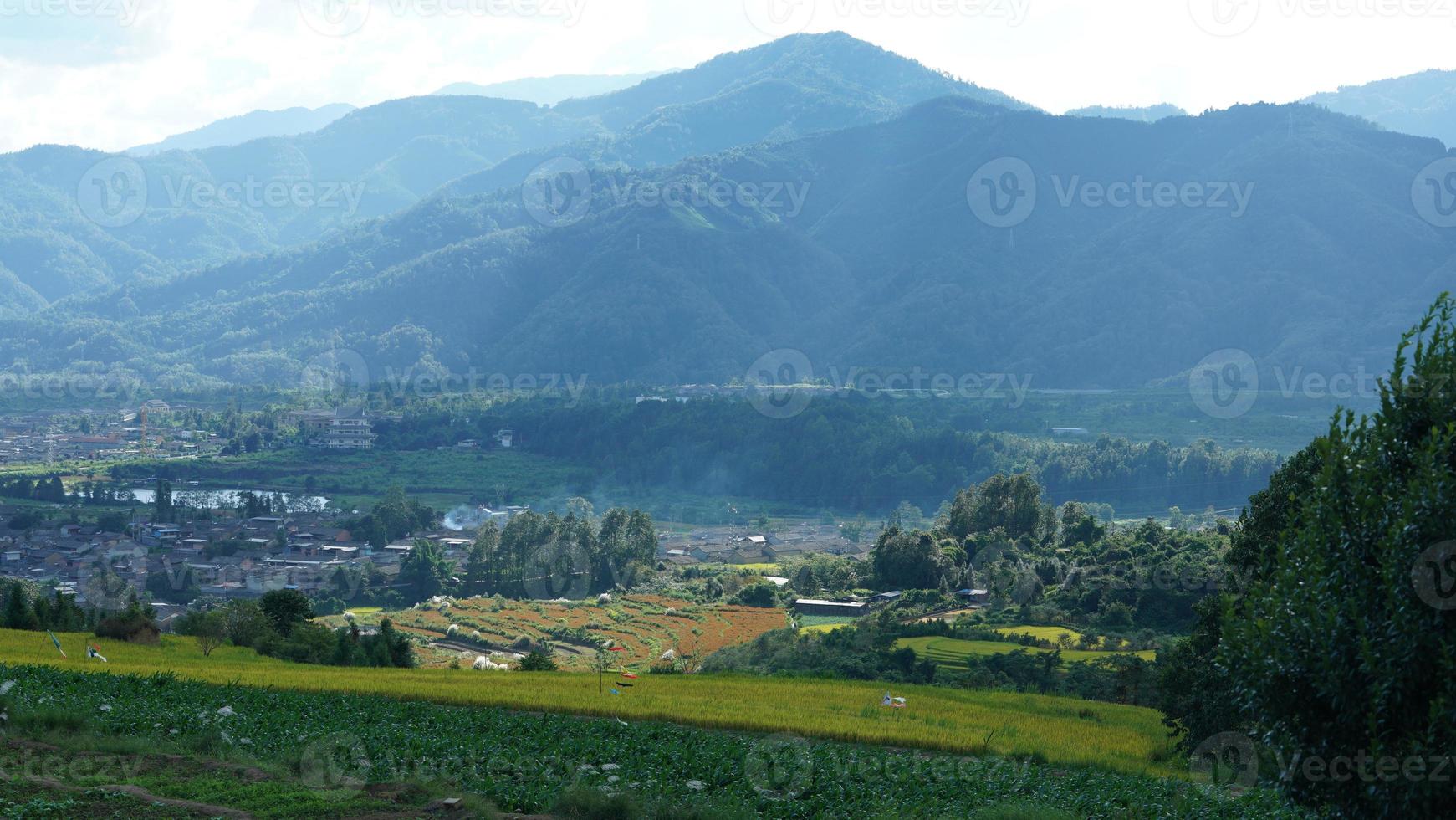 il raccolta giallo riso campo Visualizza collocato nel il valle tra il montagne con il nuvoloso cielo come sfondo foto