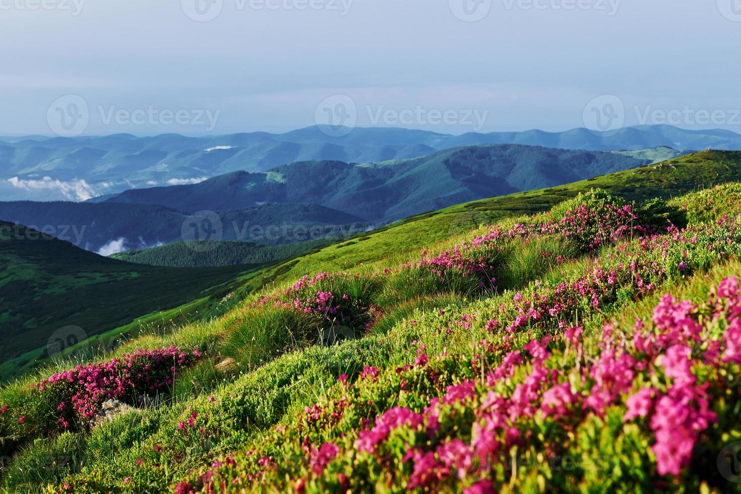 selvaggio natura. maestoso carpazi montagne. bellissimo paesaggio. mozzafiato Visualizza foto