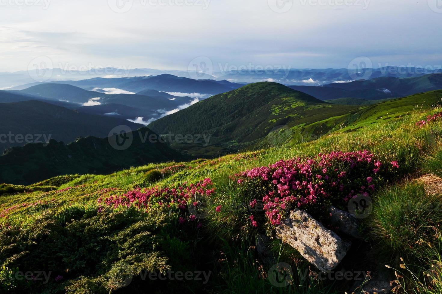 pulito ambiente. maestoso carpazi montagne. bellissimo paesaggio. mozzafiato Visualizza foto