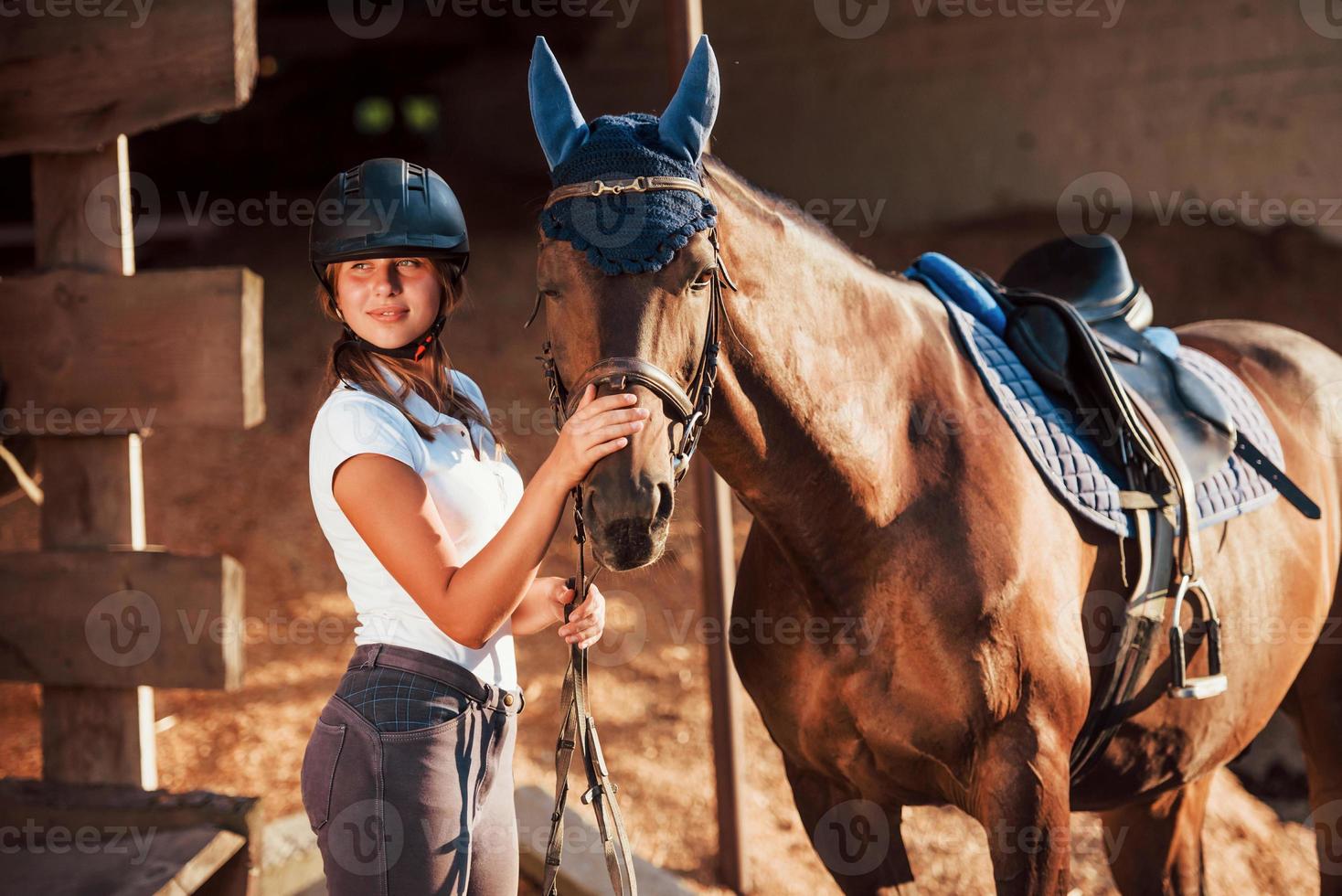 animale è nel blu Abiti. amazzone nel uniforme e nero protettivo casco con sua cavallo foto