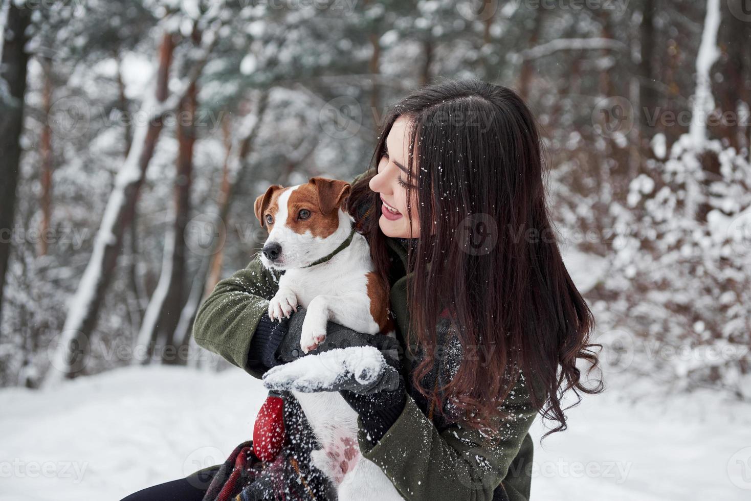 guardare lontano lontano. sorridente brunetta avendo divertimento mentre a piedi con sua cane nel il inverno parco foto