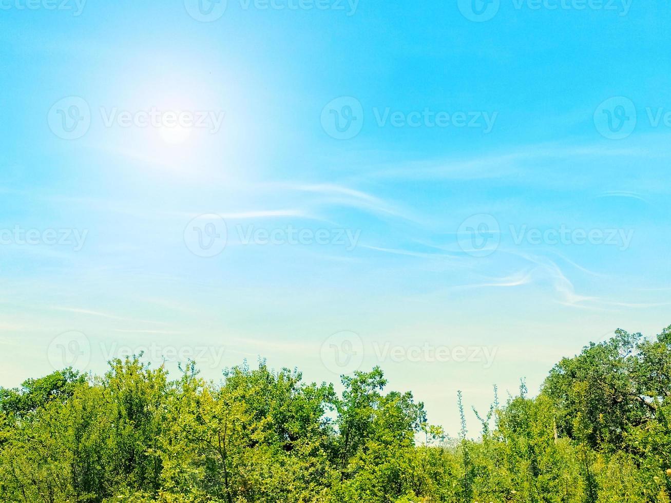 verde alberi natura contro bellissimo blu cielo nube soleggiato giorno per ecologia. verde fogliame di alberi contro il blu cielo. primavera o estate. soleggiato giorno foto