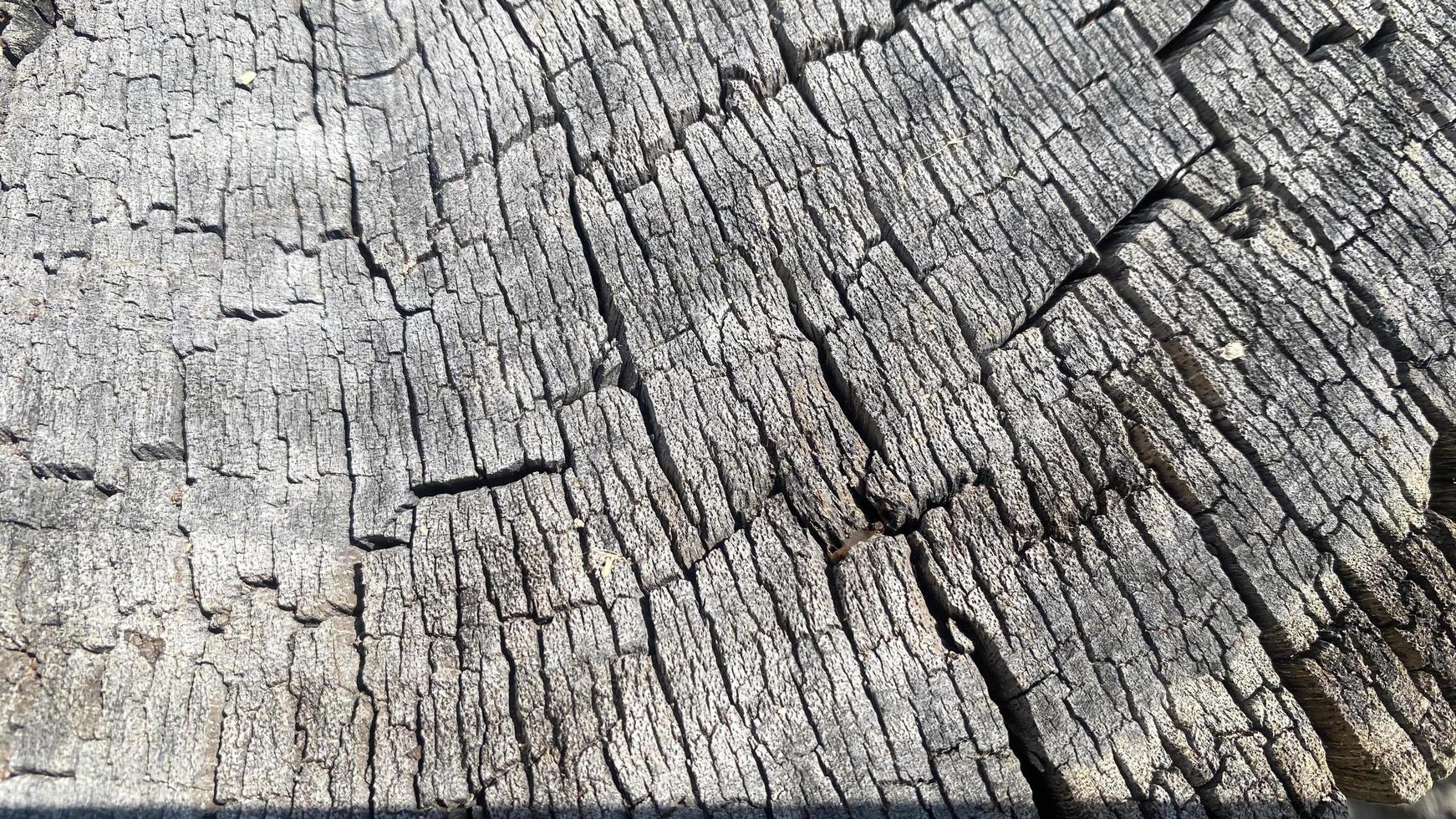 vecchia struttura in legno crepa, tono grigio-bianco. usalo per lo sfondo o l'immagine di sfondo. c'è uno spazio vuoto per il testo. foto