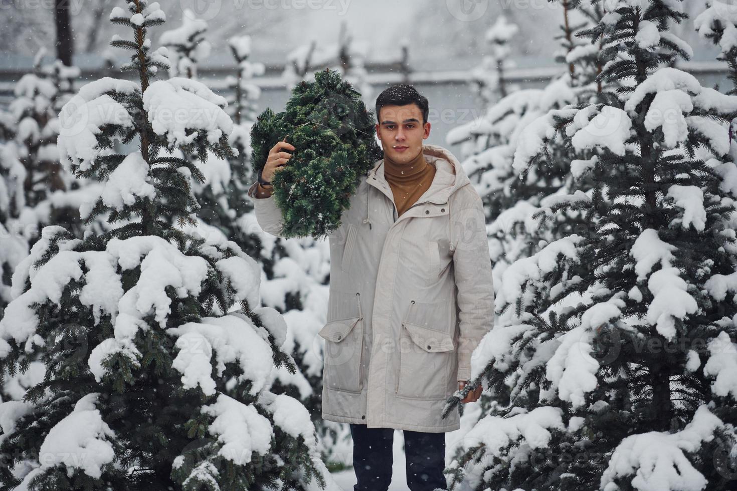 giovane bello uomo trasporto fresco tagliato abete albero all'aperto foto