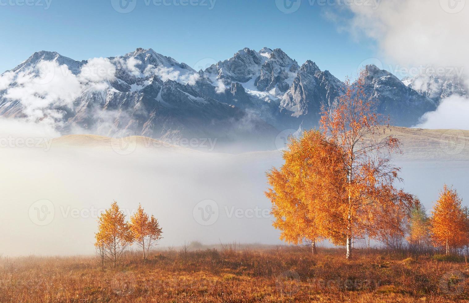 albero lucido su un pendio collinare con travi soleggiate nella valle di montagna ricoperta di nebbia. splendida scena mattutina. foglie autunnali rosse e gialle. carpazi, ucraina, europa. scopri il mondo della bellezza foto