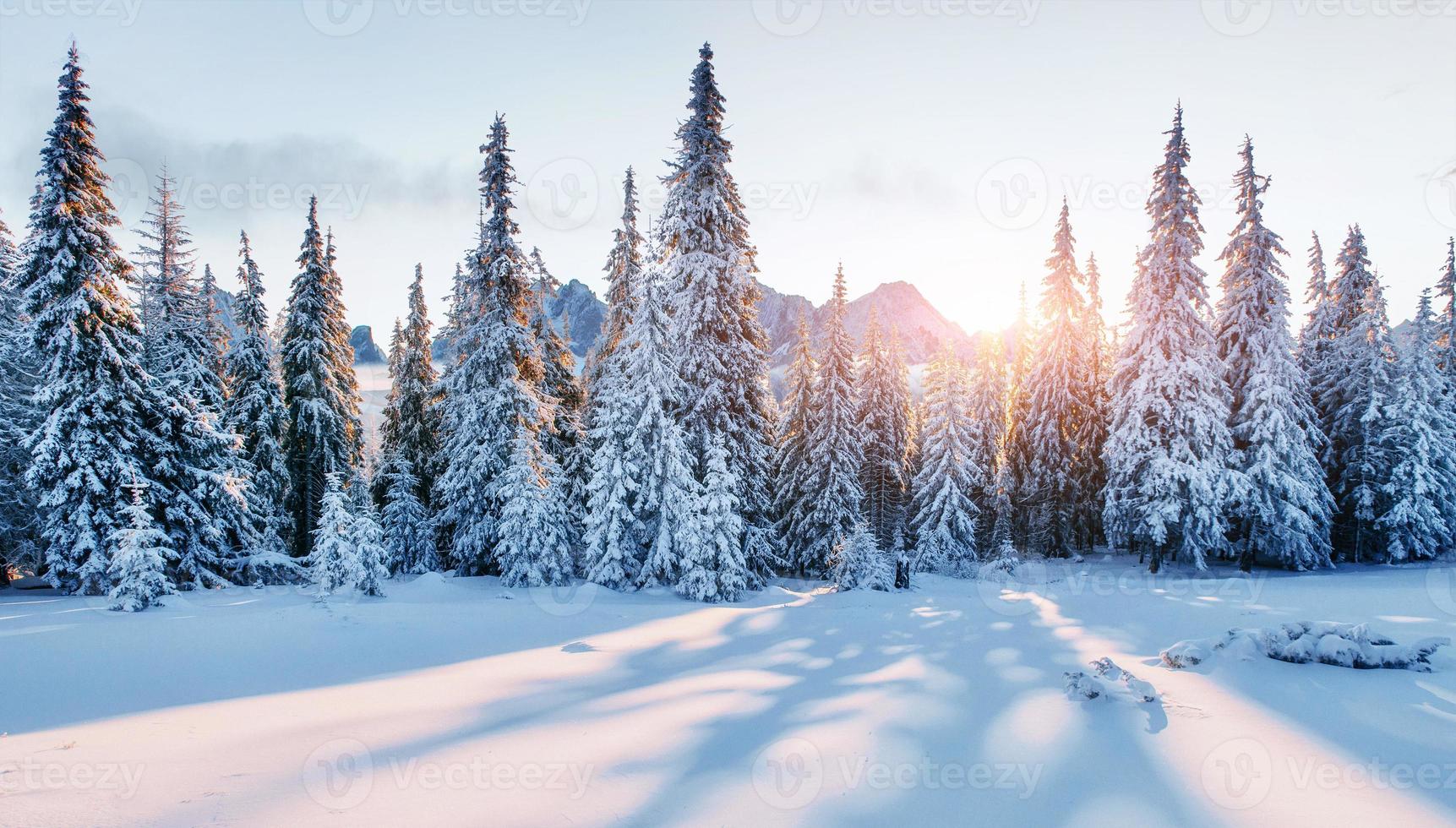 bellissimo luce del sole. maestoso paesaggio con foresta a inverno volta. scenario sfondo foto