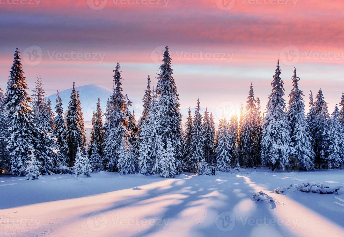 viola cielo. maestoso paesaggio con foresta a inverno volta. scenario sfondo foto