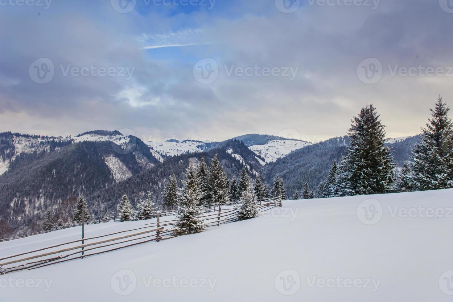 montagne invernali dei Carpazi foto