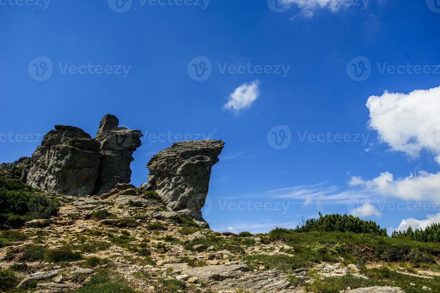 paesaggio estivo in montagna foto