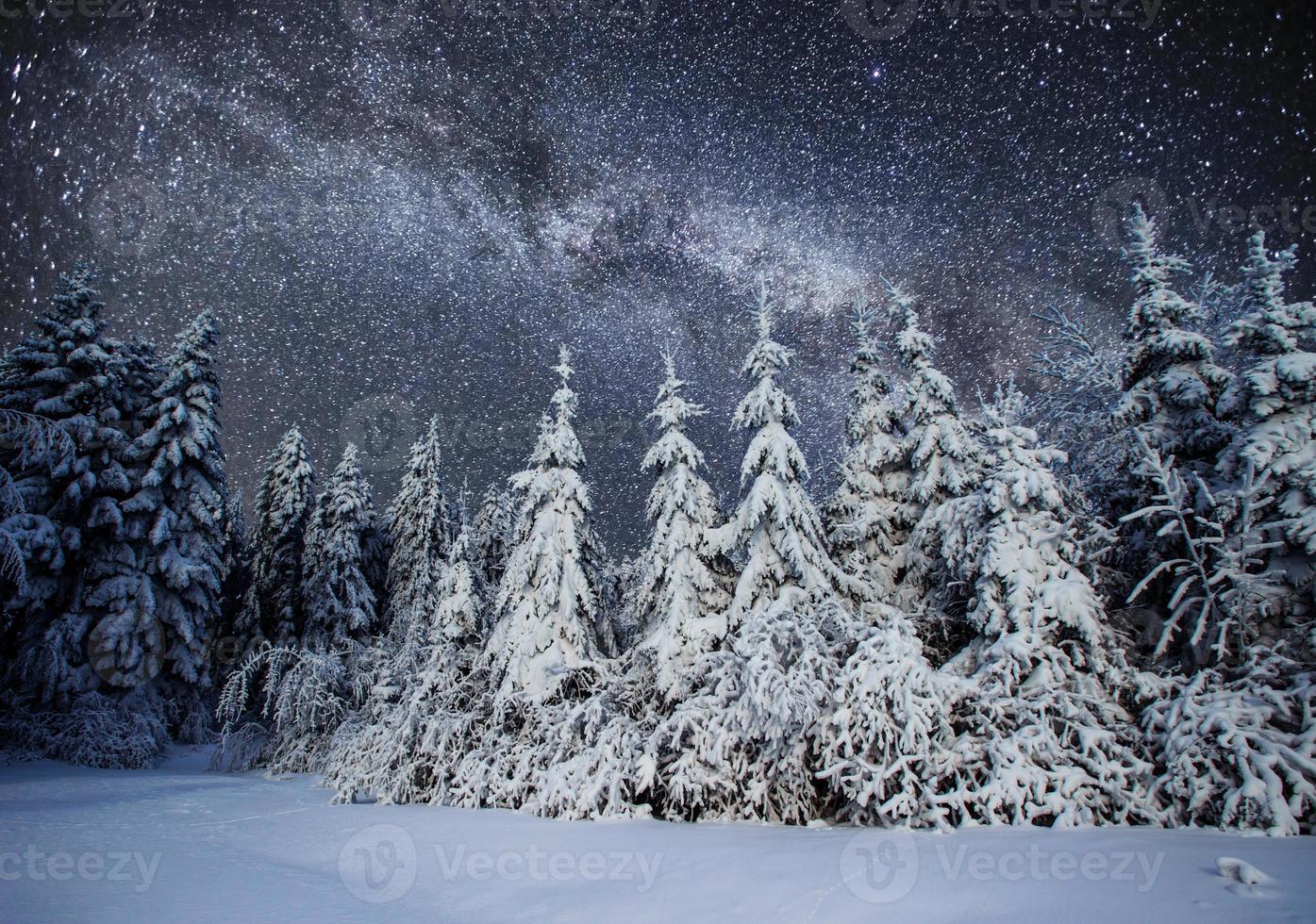 maestoso paesaggio con foresta a inverno notte tempo con stelle e galassia nel il cielo. scenario sfondo. elementi arredato di nasa foto