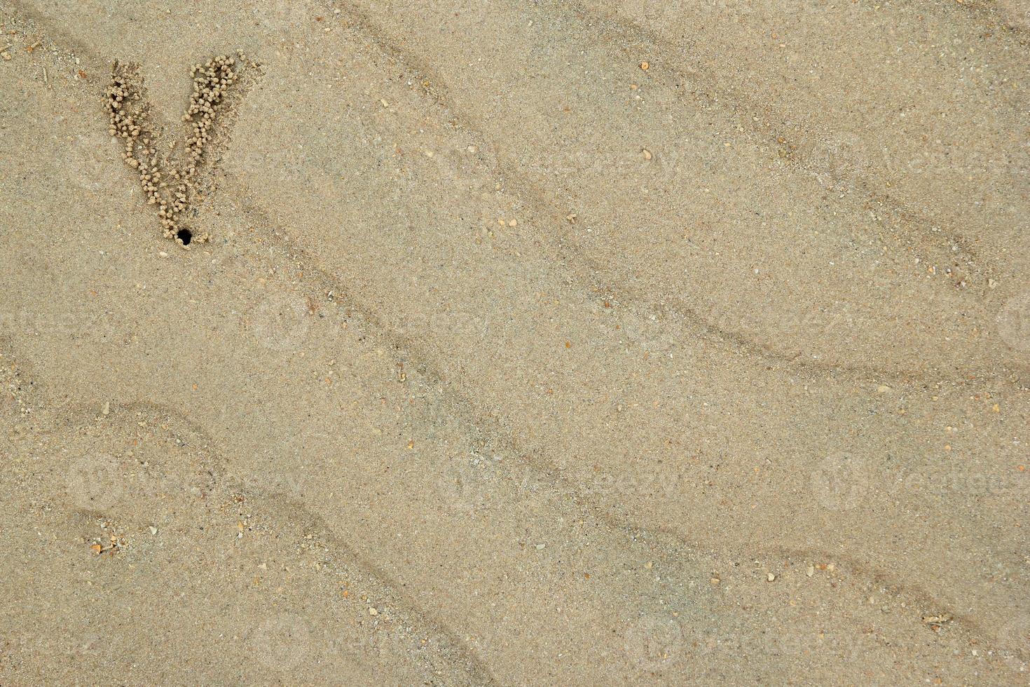 viaggio per isola phi fi, Tailandia. il tracce di il Granchi su il sabbia spiaggia. foto