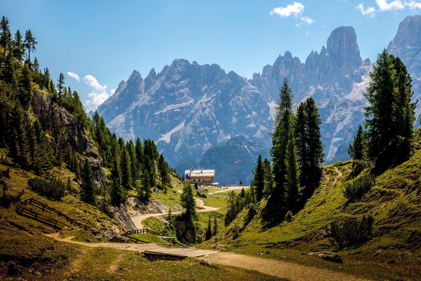 fotografo turista viaggiatore in piedi su verde superiore su montagna Tenere nel mani digitale foto telecamera. escursionista assunzione fotografia, ragazza godere natura panoramico paesaggio nel viaggio