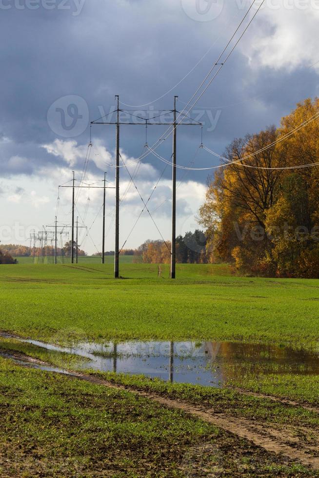 autunno paesaggio con giallo le foglie su un' soleggiato giorno foto