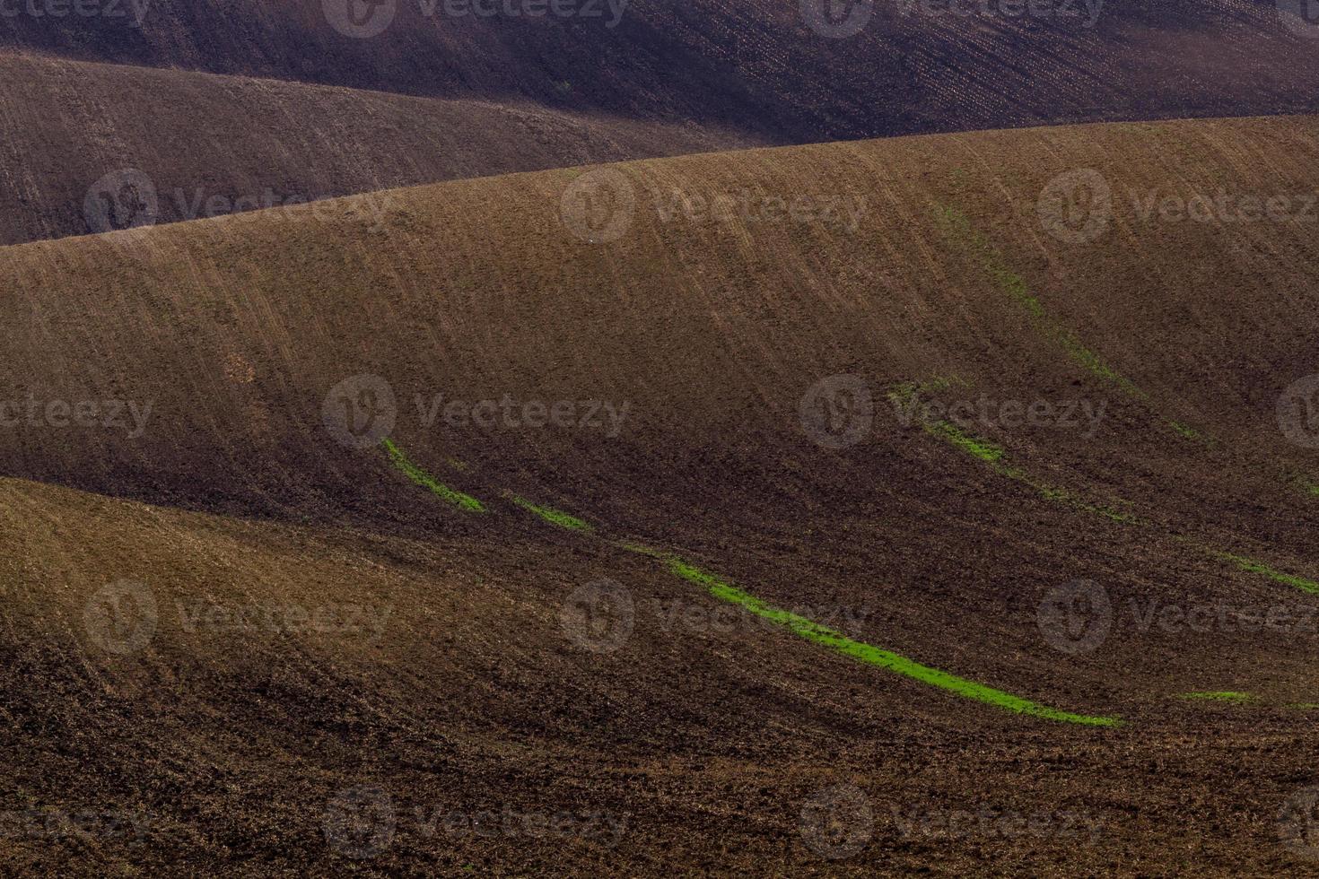 autunno paesaggio nel un' moravia i campi foto