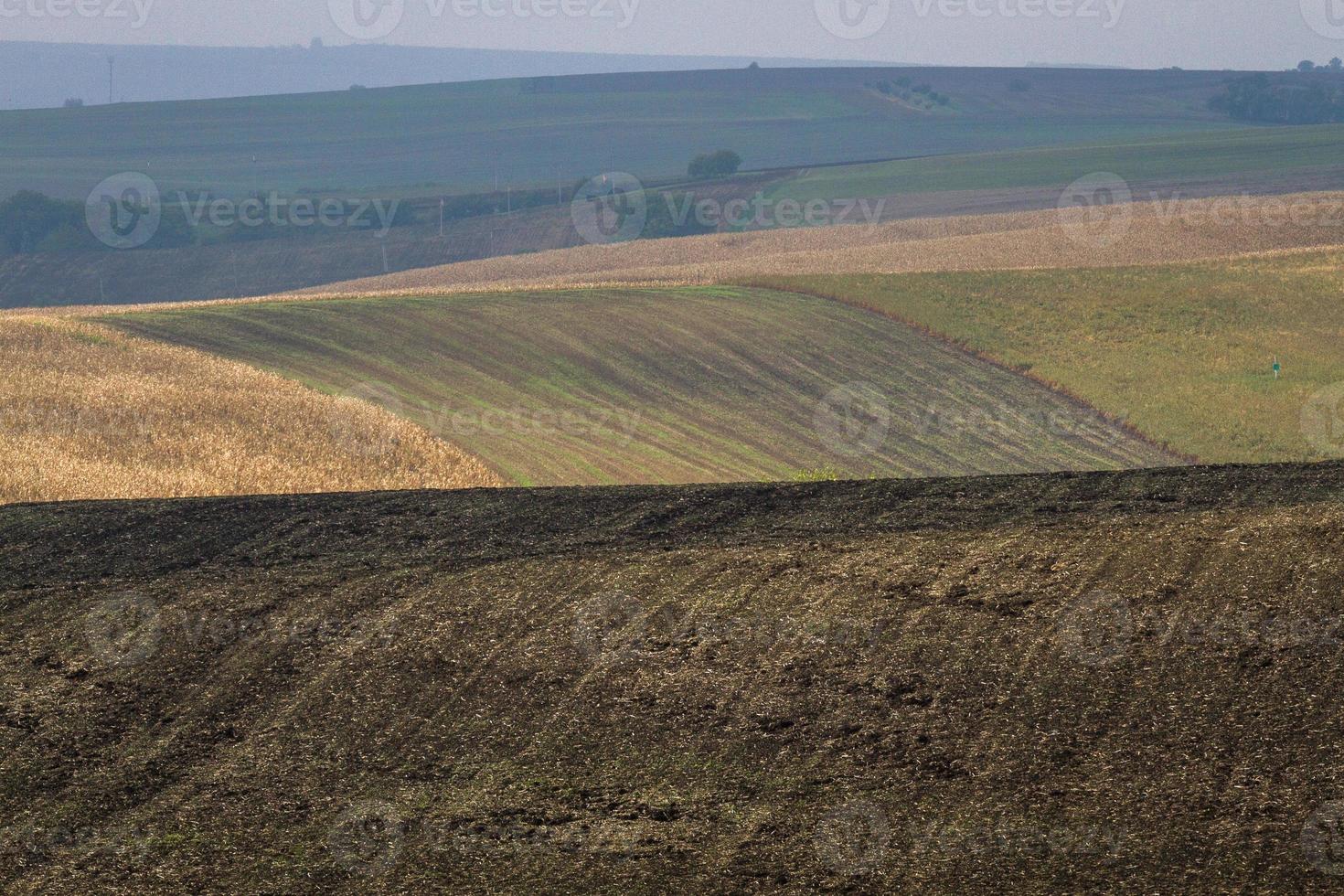 autunno paesaggio nel un' moravia i campi foto