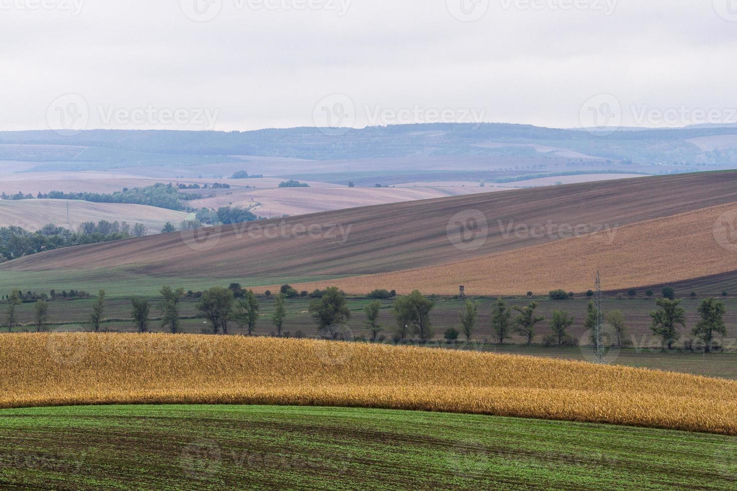 autunno paesaggio nel un' moravia i campi foto