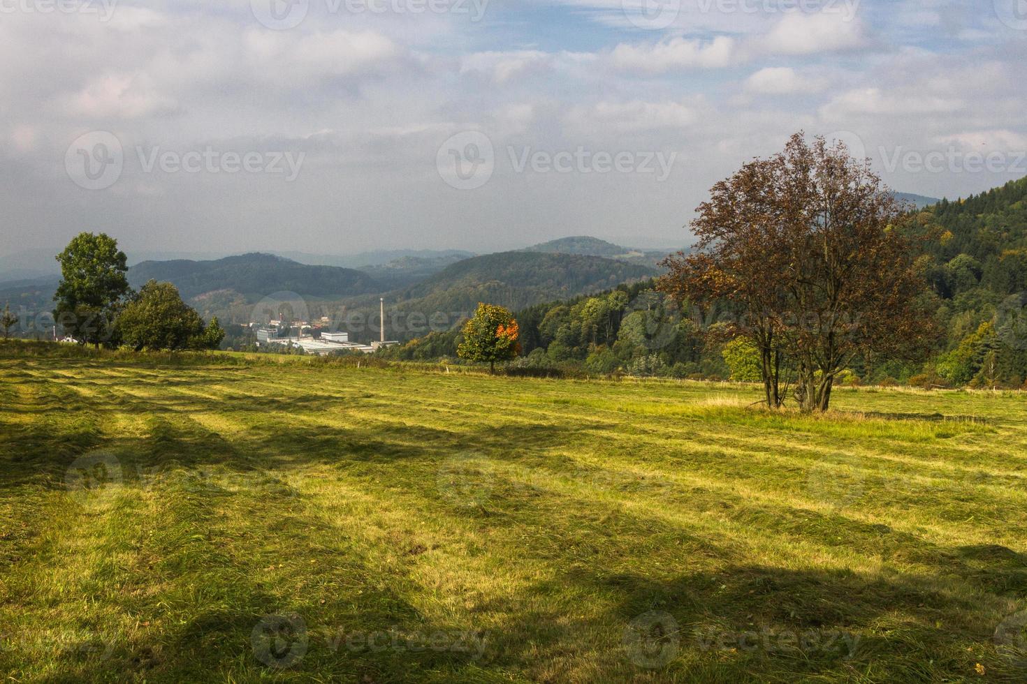 autunno paesaggio con giallo le foglie su un' soleggiato giorno foto