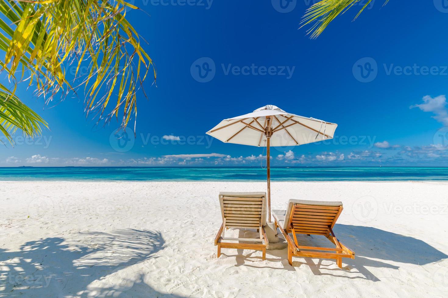 bellissimo tropicale spiaggia striscione. bianca sabbia e cocco palme e spiaggia sedie come largo panorama sfondo concetto. sorprendente spiaggia paesaggio, romantico scena per coppia o luna di miele viaggio destinazioni foto