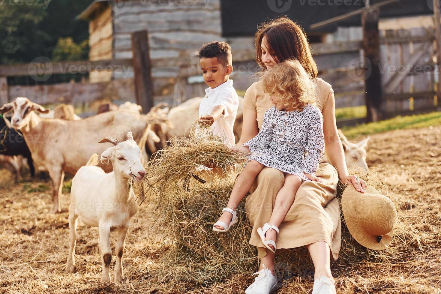 giovane madre con sua figlia è su il azienda agricola a estate con capre foto