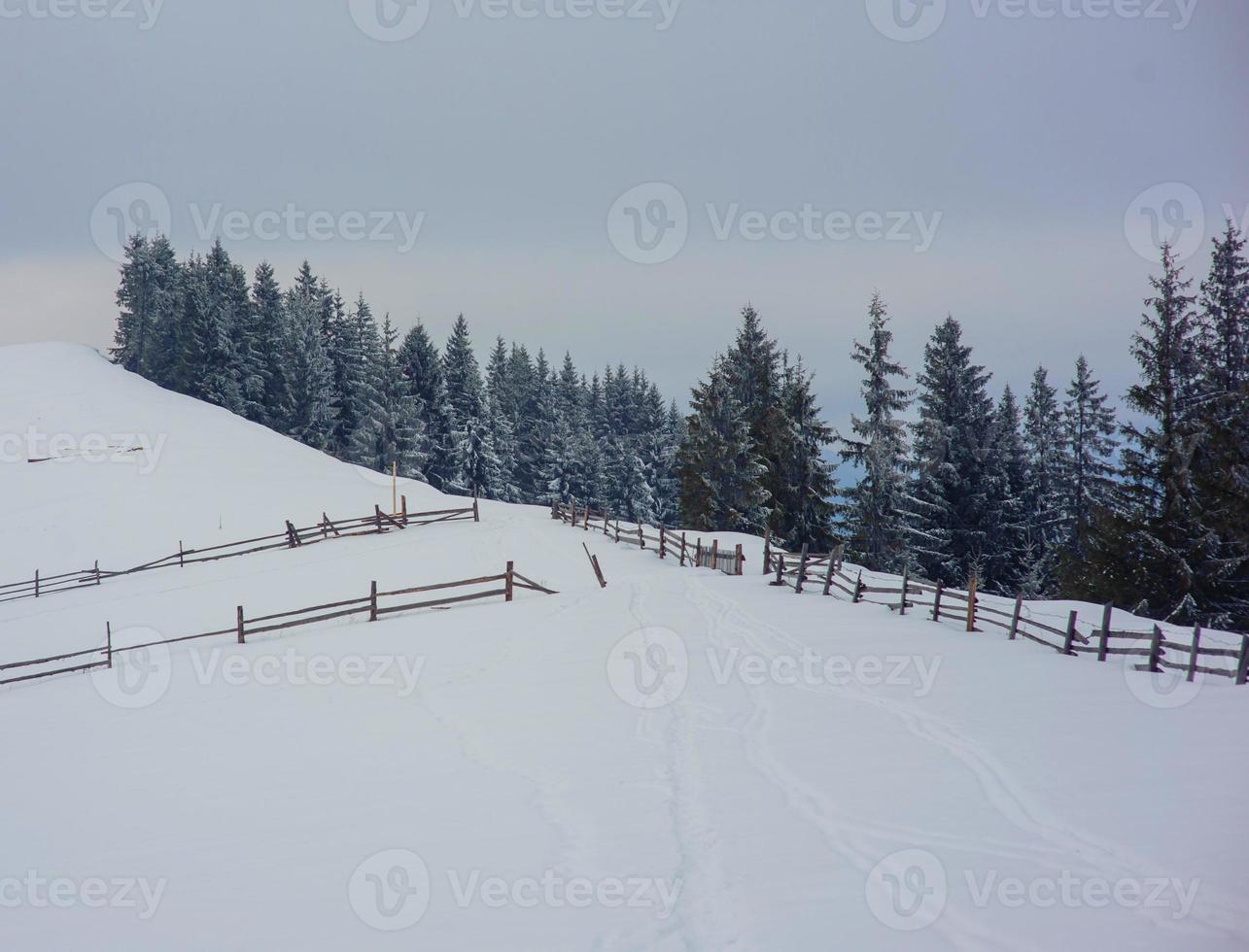 bellissimo paesaggio invernale foto