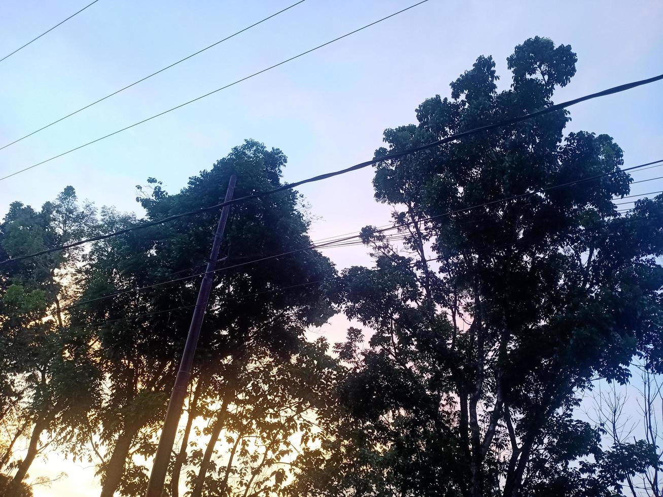 bellissimo naturale scenario nel il blu cielo, bianca nuvole e molti verde alberi in giro esso foto