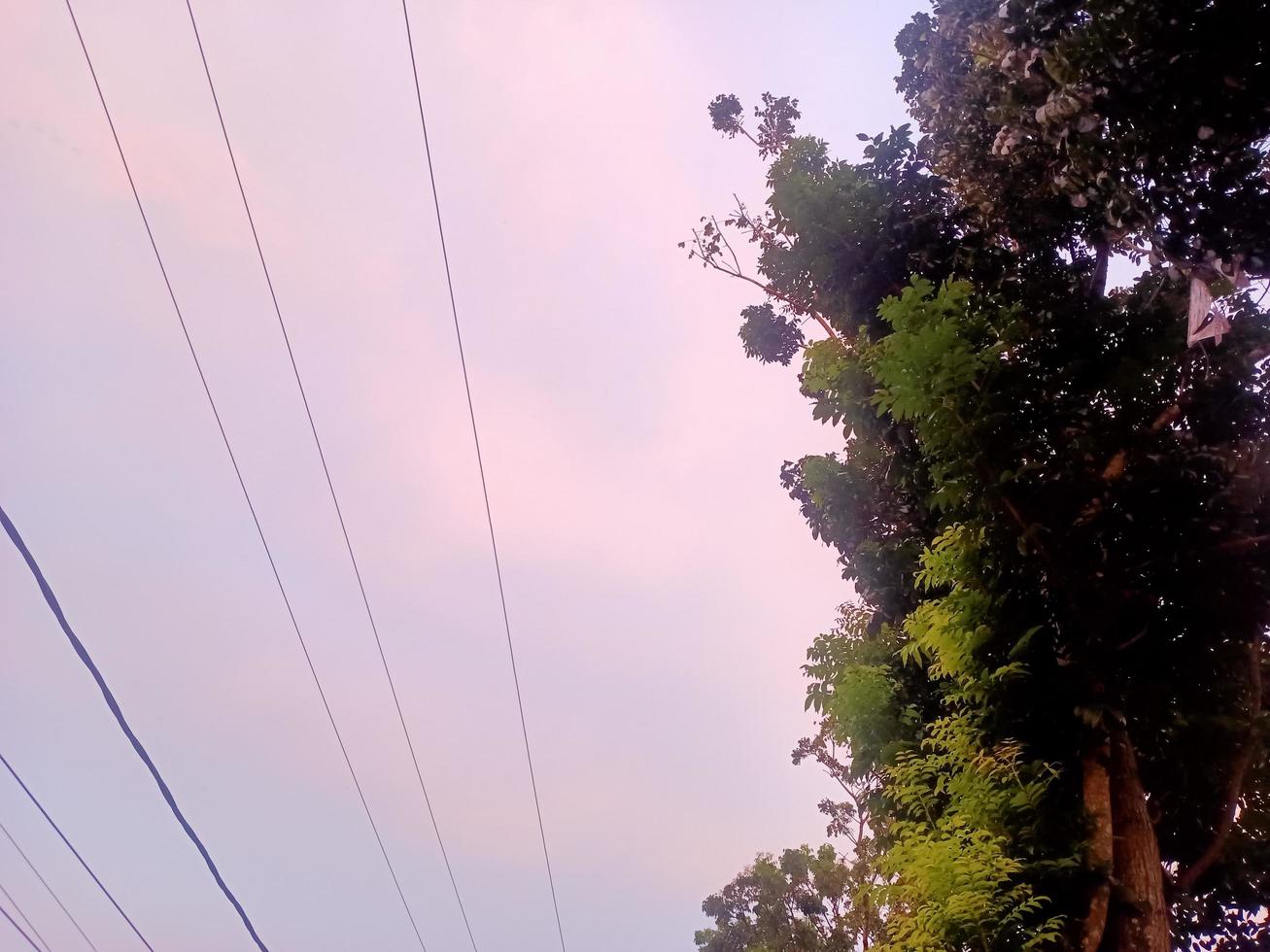 bellissimo naturale scenario nel il blu cielo, bianca nuvole e molti verde alberi in giro esso foto