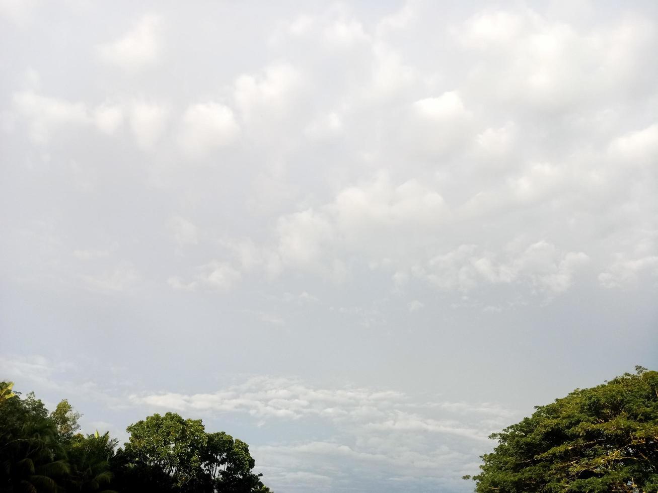 bellissimo naturale scenario nel il blu cielo, bianca nuvole e molti verde alberi in giro esso foto