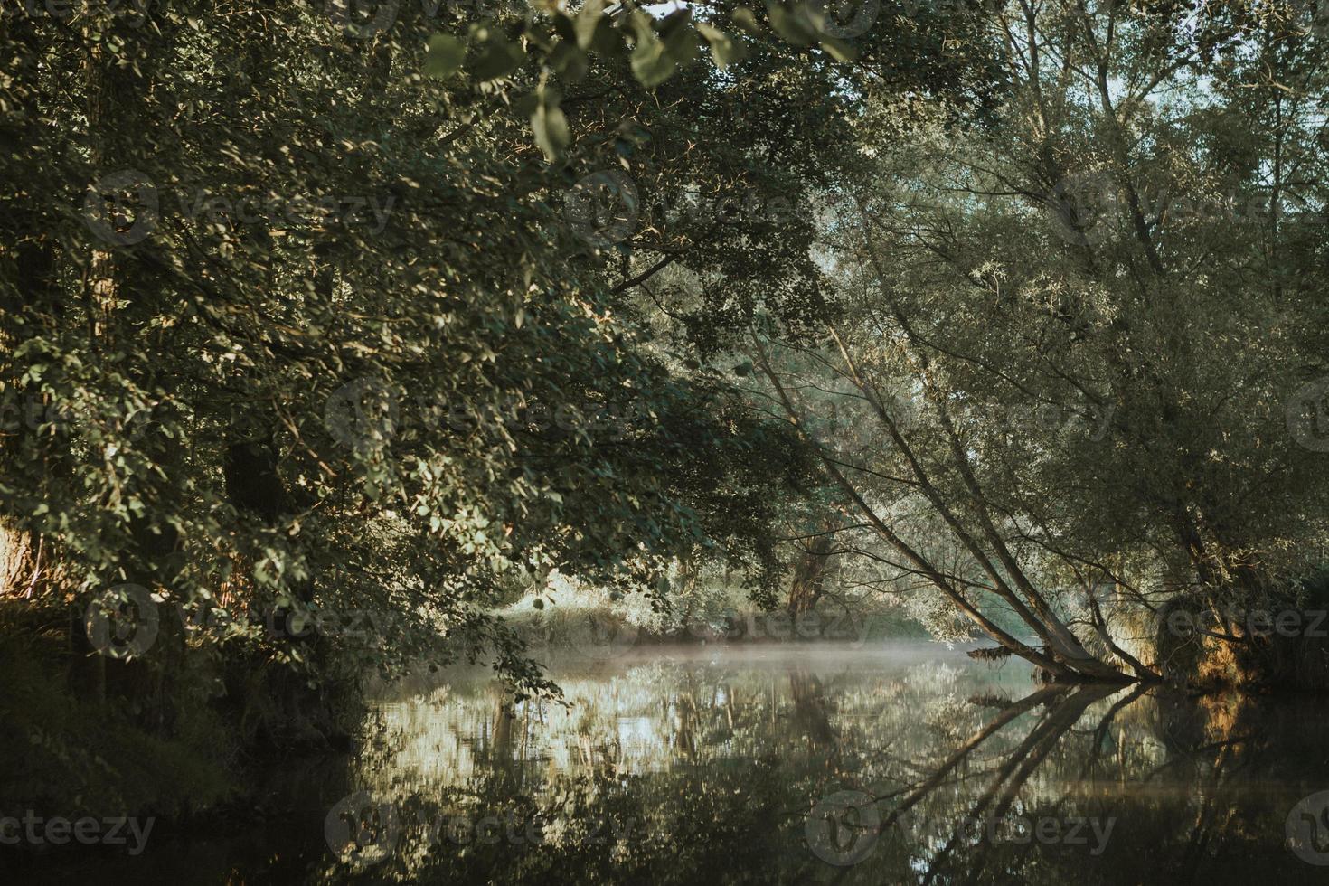 foschia al di sopra di fiume con riflessione sotto alberi nel estate mattina con crescente sole foto