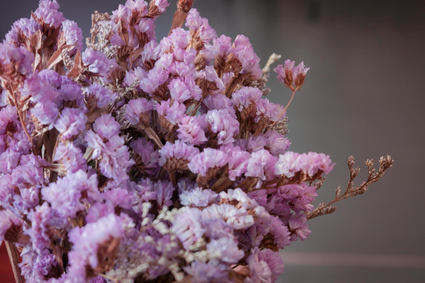 primo piano di fiori rosa foto