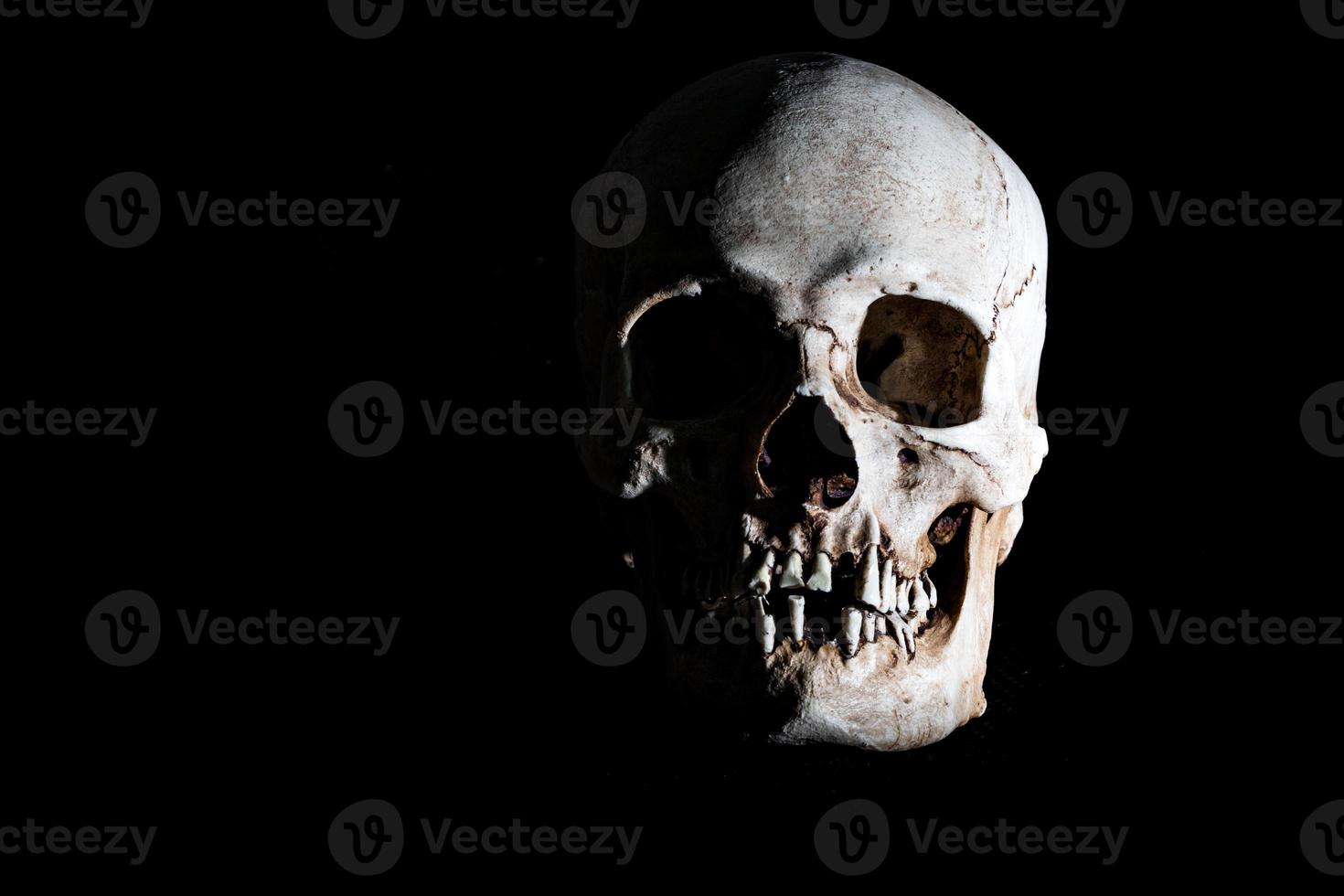 umano scheletro cranio testa isolato su nero foto
