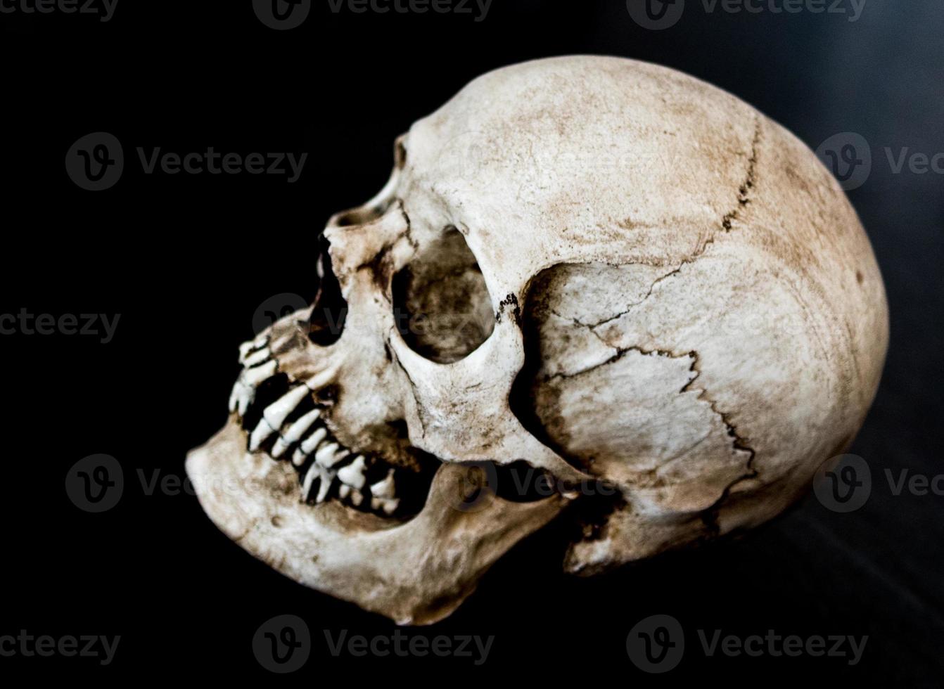 fibra di vetro umano cranio di fronte per lato con un' nero sfondo foto