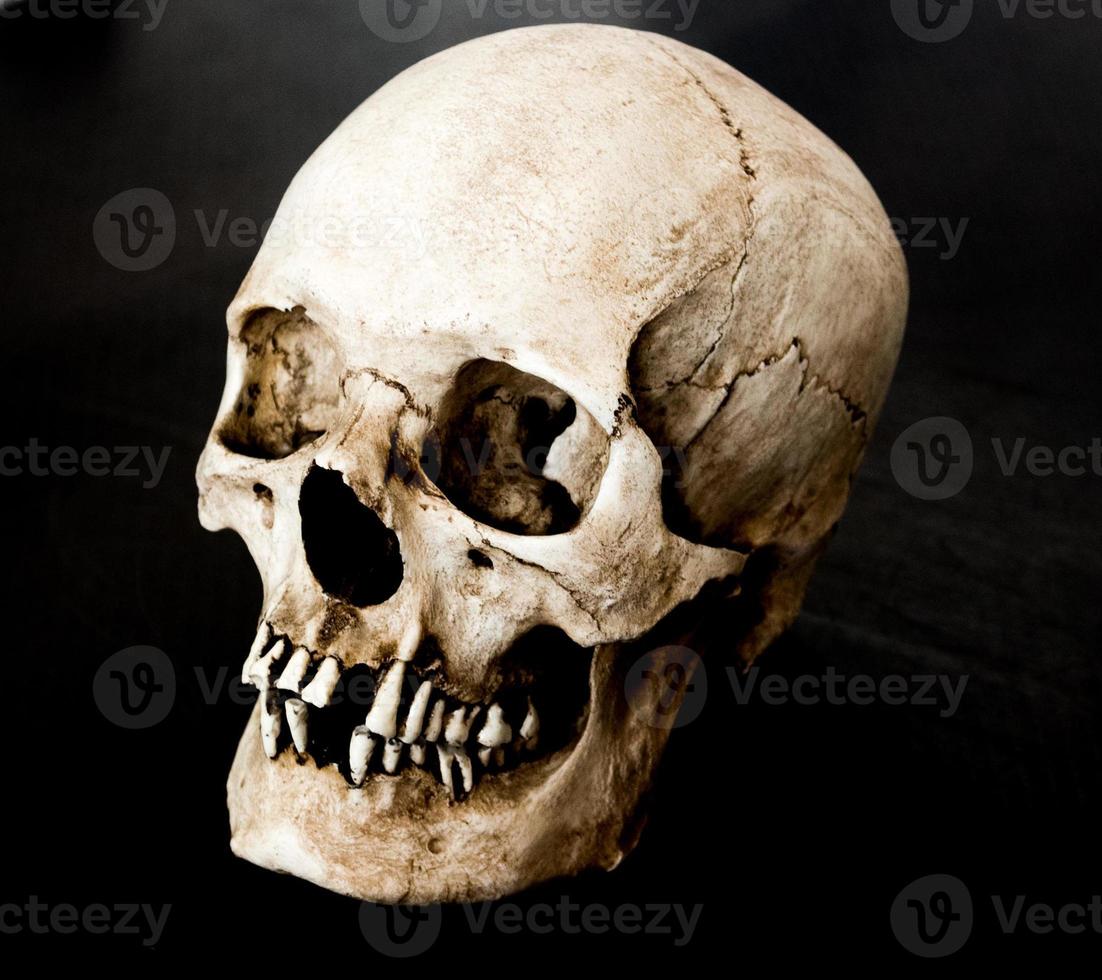 fibra di vetro umano cranio di fronte 45 gradi sinistra con un' nero sfondo foto