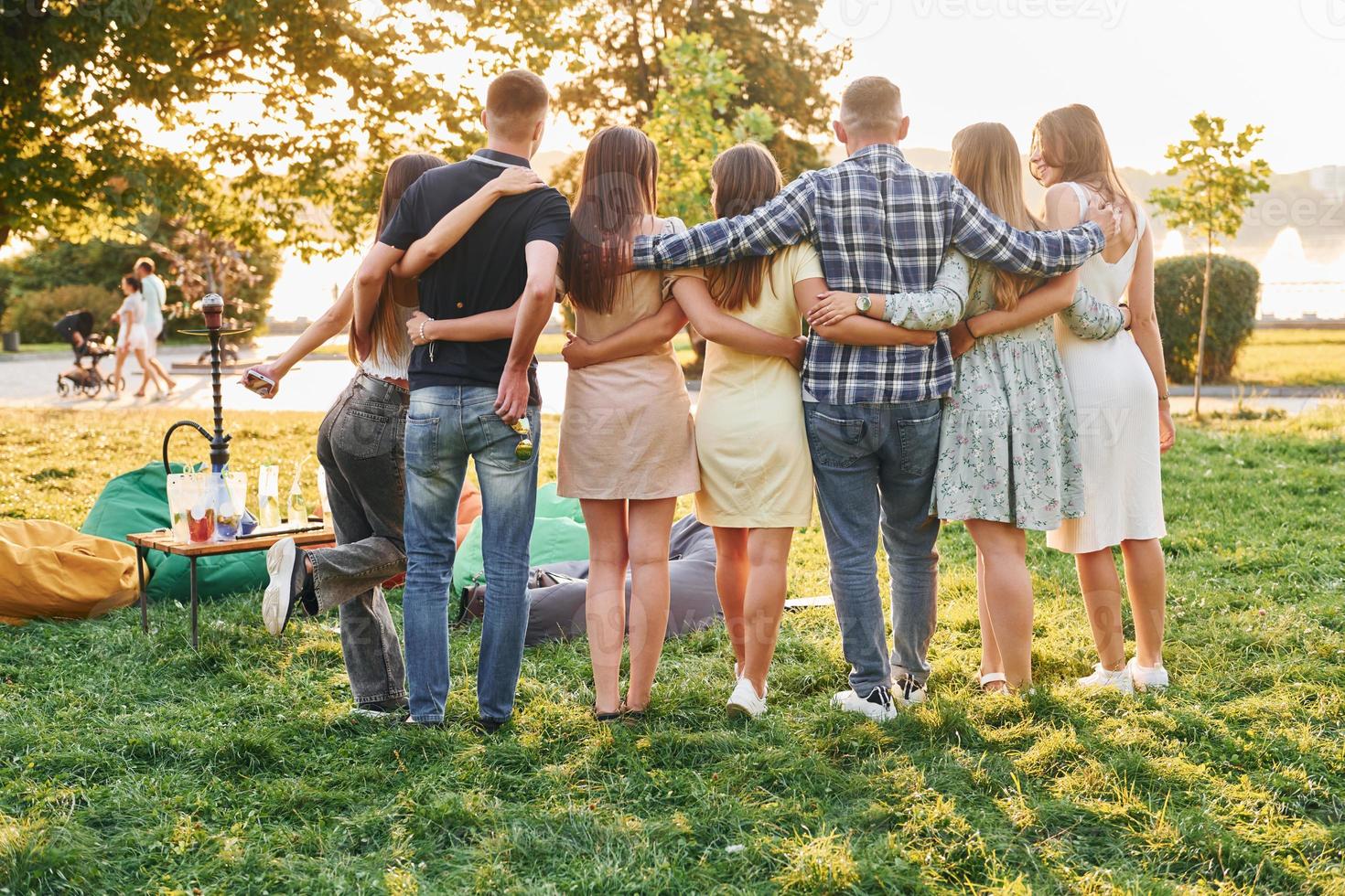 Visualizza a partire dal dietro. gruppo di giovane persone avere un' festa nel il parco a estate giorno foto