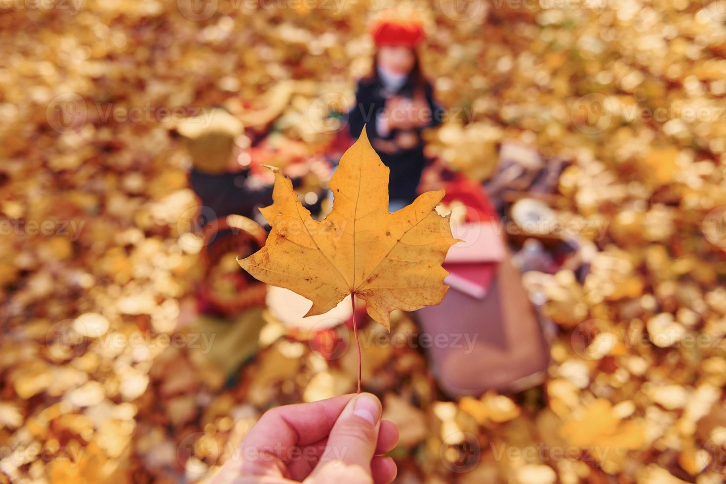 poco ragazzo con il suo sorella è seduta su il terra nel il autunno parco foto