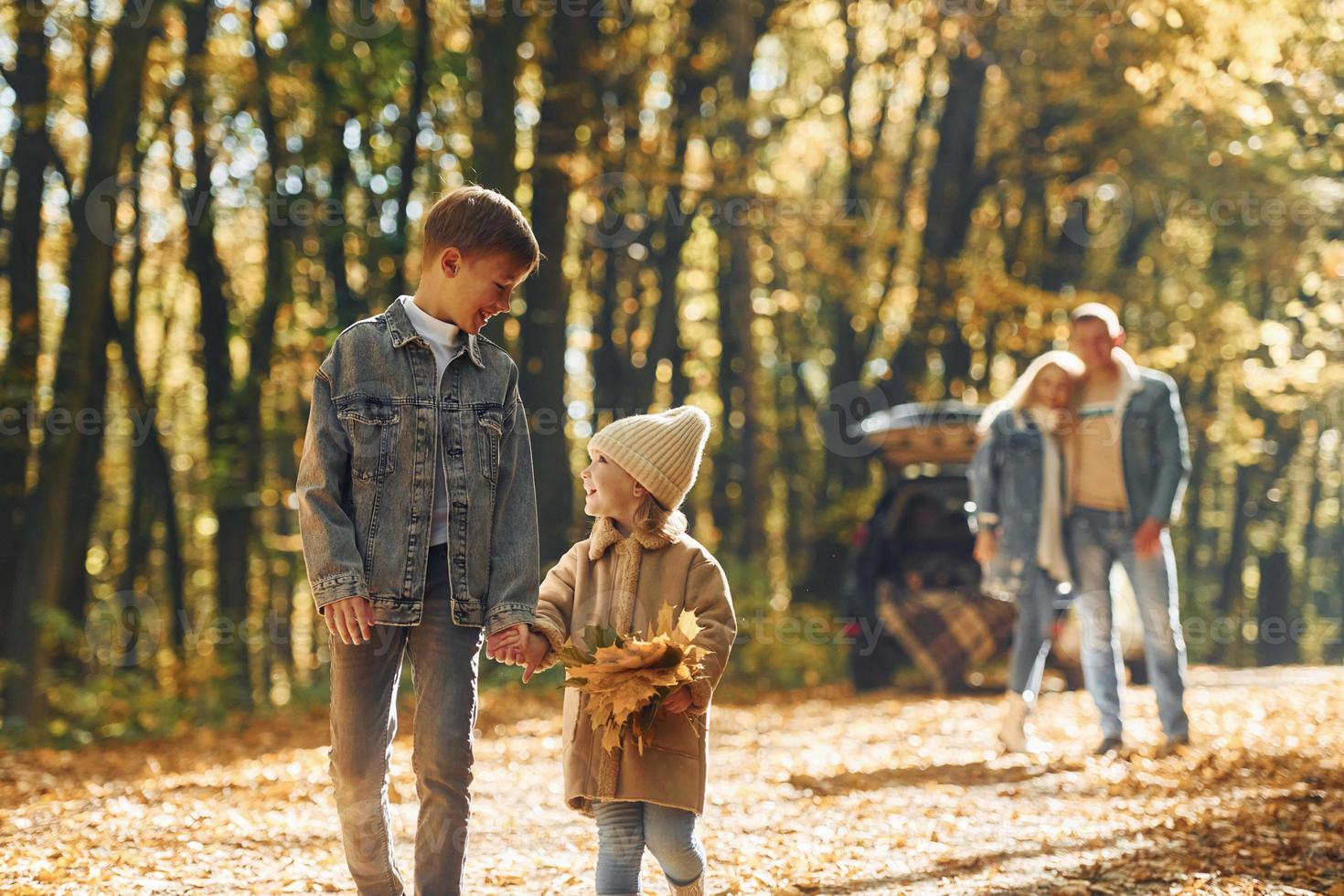 sorella con fratello a passeggio. contento famiglia è nel il parco a autunno tempo insieme foto