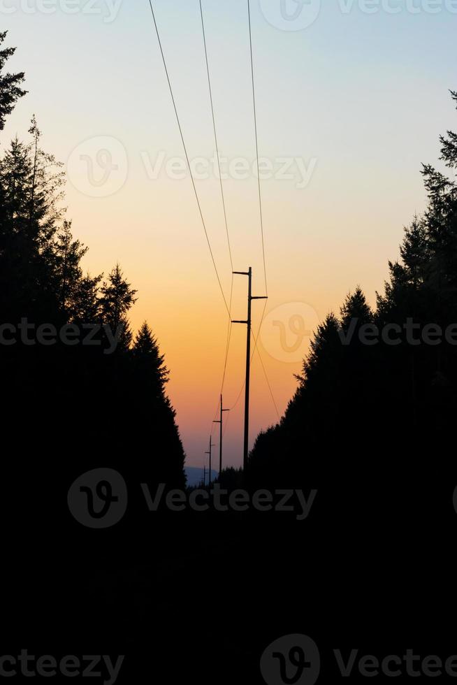 buio nuvoloso Alba con albero silhouette foto