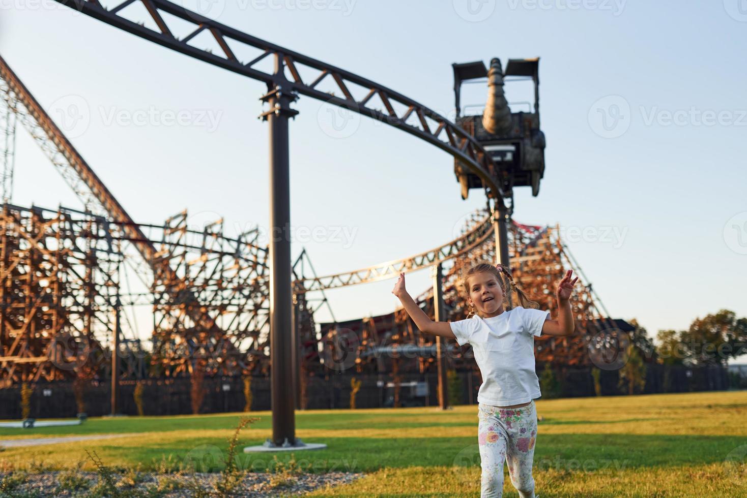 poco ragazza avere divertimento a figli di divertimento parco a giorno foto