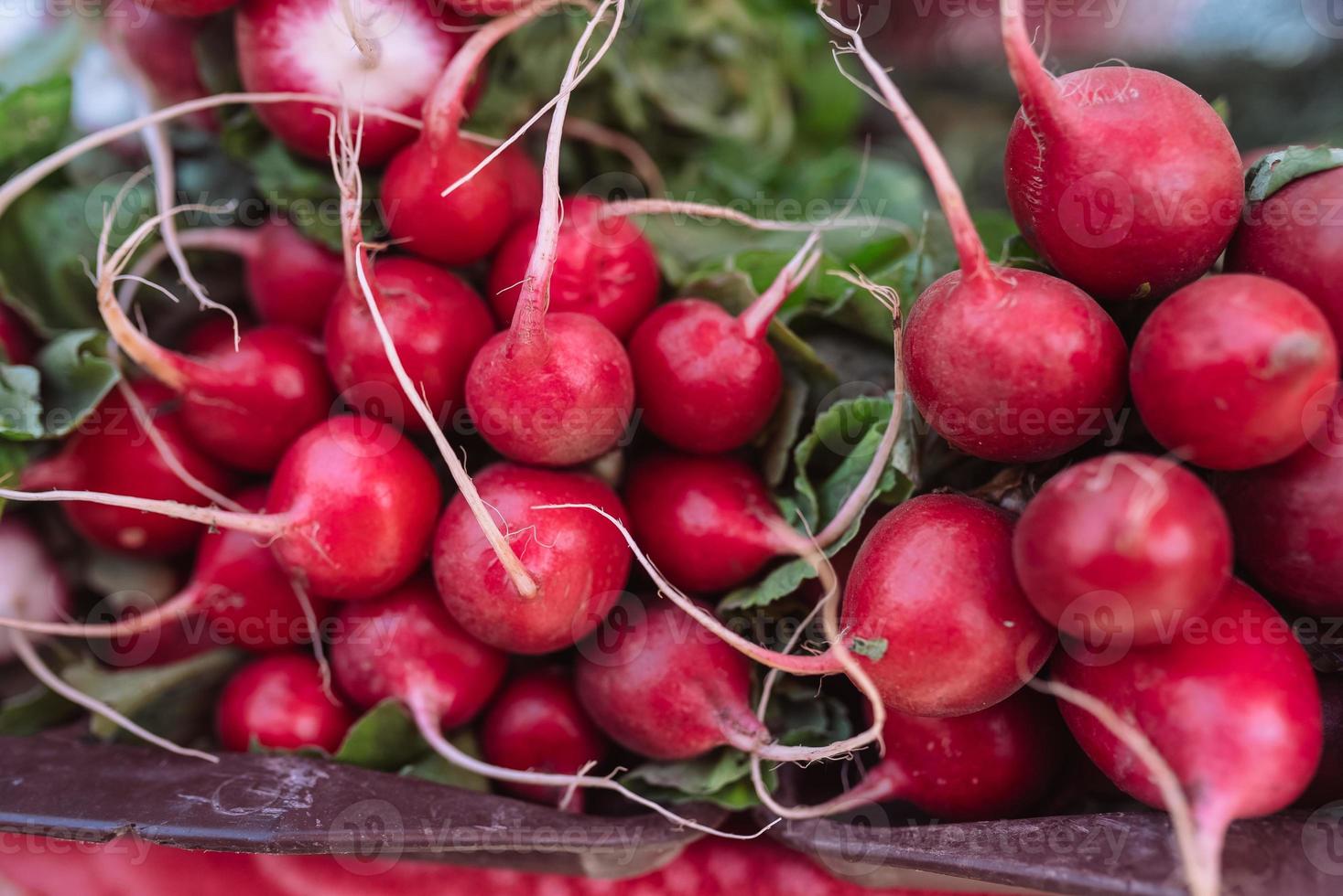 fresco biologico ravanello verdure per vendita su francese agricoltori mercato foto