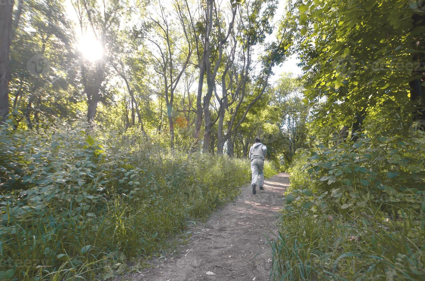 un' giovane tipo nel un' grigio gli sport completo da uomo corre lungo il sentiero tra il foto