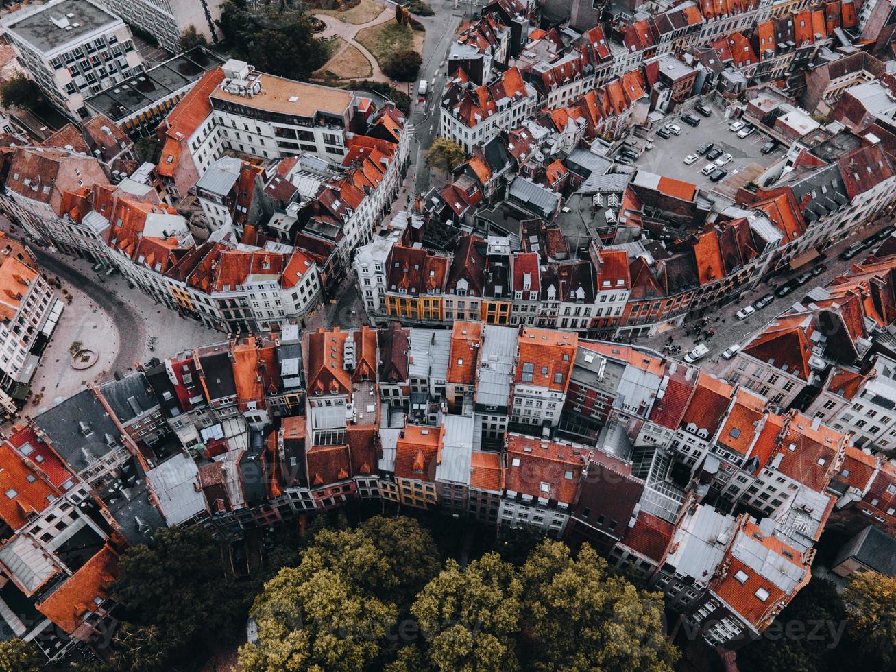 alto Visualizza di lilla, Francia di fuco foto