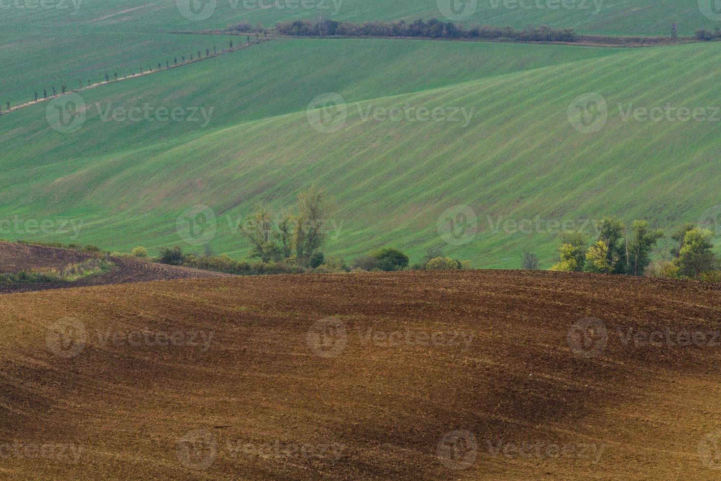 autunno paesaggi nel hrensko, fiume kamenice foto