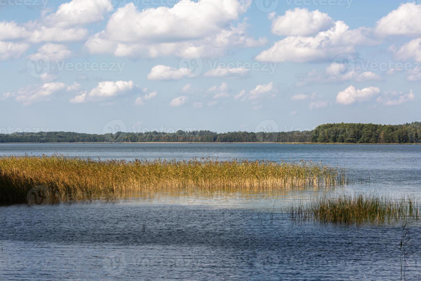 estate paesaggi di il lago nel Lituania foto