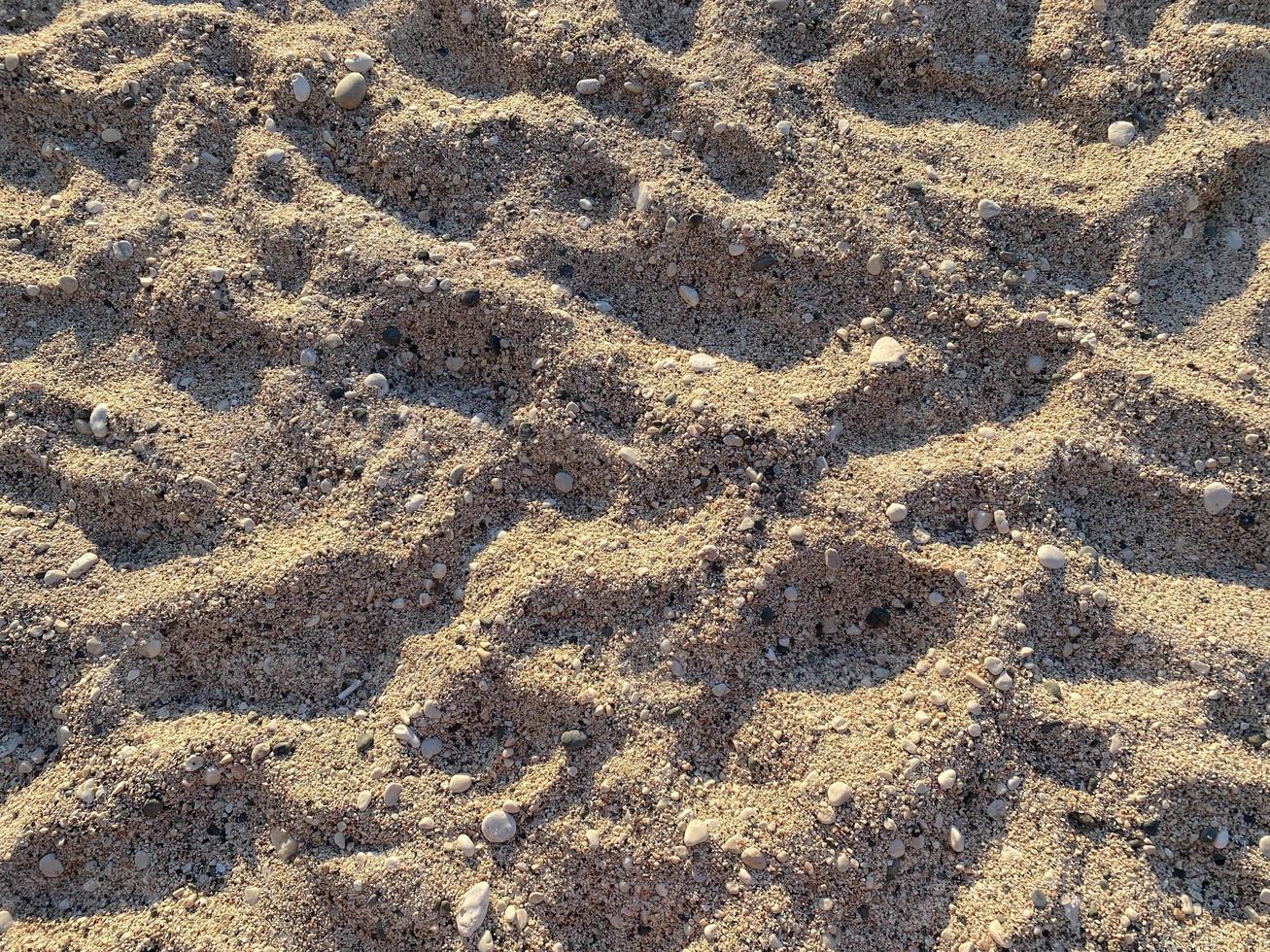 pieno telaio tiro di sabbia la zona su il spiaggia foto