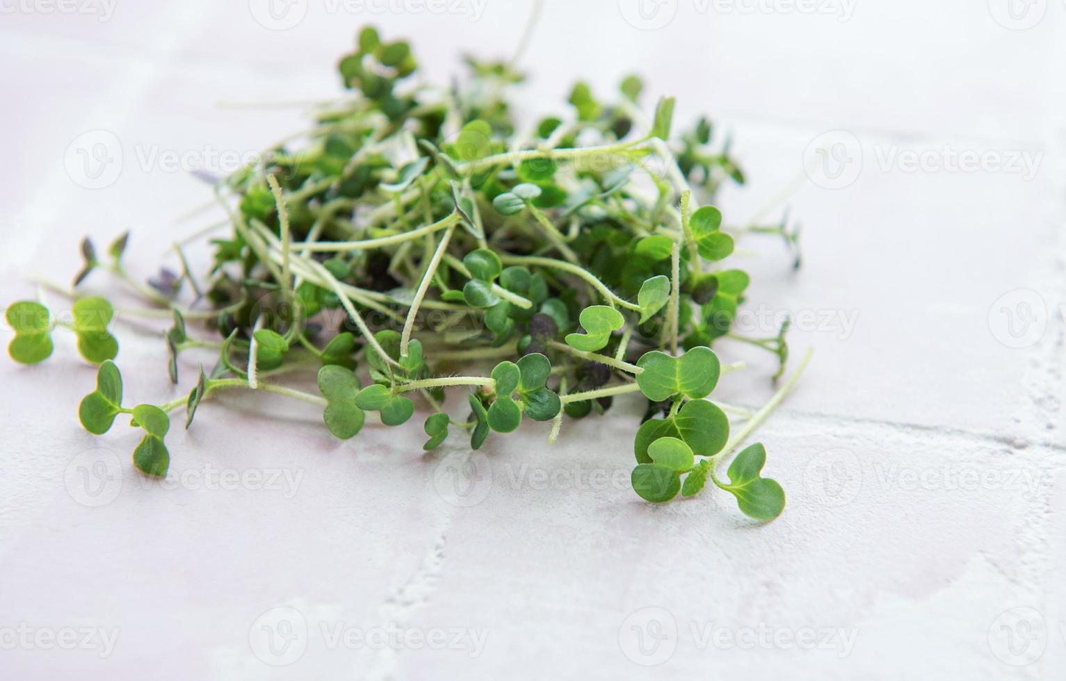 micro verde biologico fresco sul tavolo foto